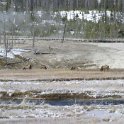 USA_WY_YellowstoneNP_2004NOV01_FireholeRiver_008.jpg